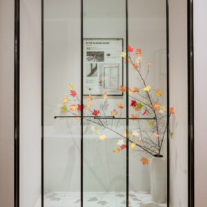 phòng tắm kính 2 cửa trượt MSP 2x2